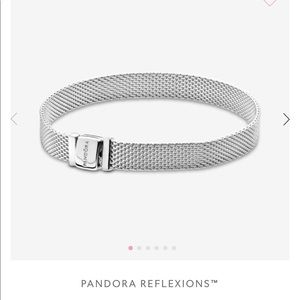 Pandora bracelet w/ charms!